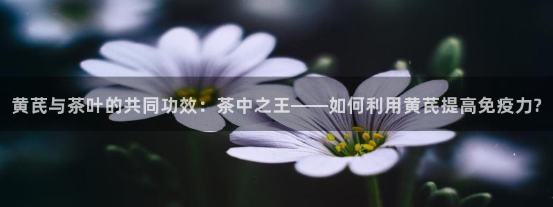 安信12平台的网址