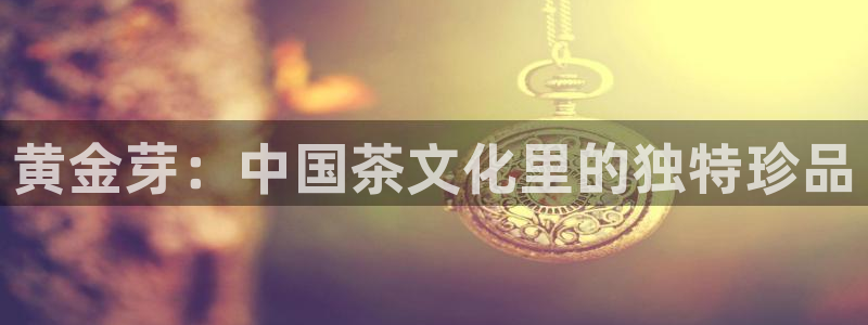 安信12是啥