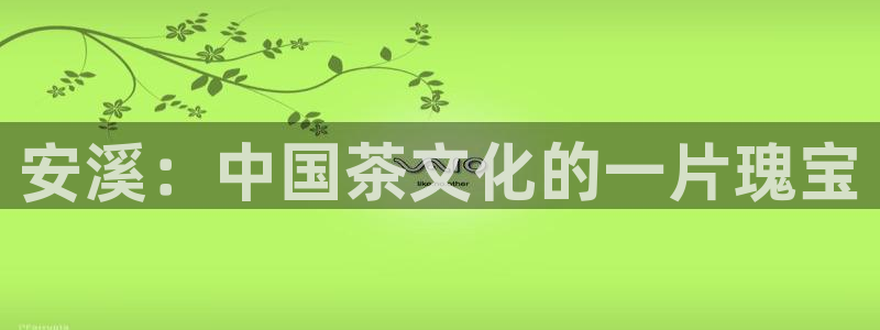 安信12想开户