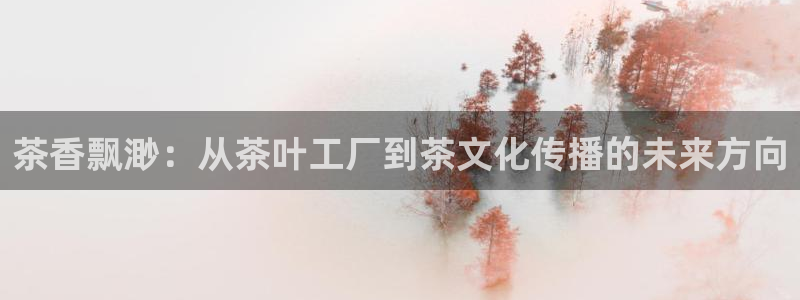 安立信12改装