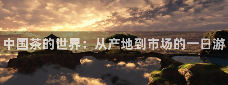 安信4娱乐去55 12