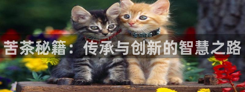 安信12平台可靠吗