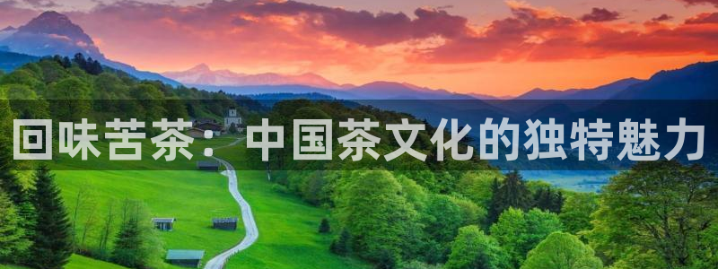 安信12如何开代理