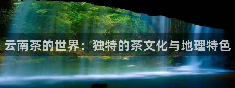 安立信T12测评