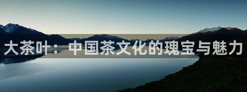 安信12软件介绍