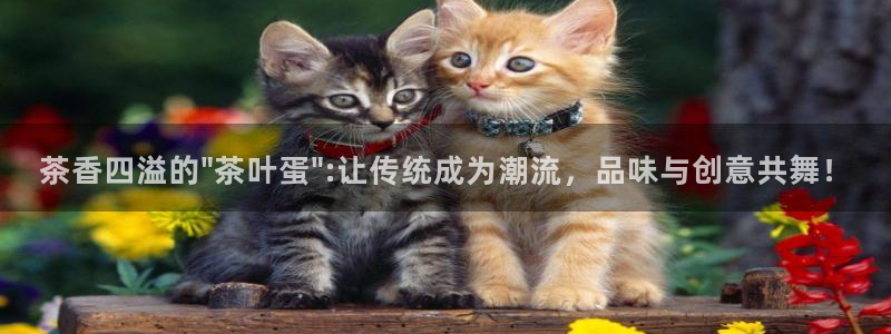 安信12级大众