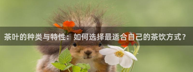 安信可12f代码