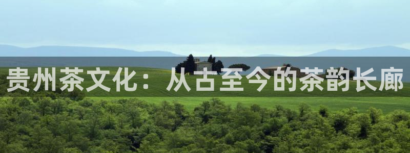安信12娱乐开户