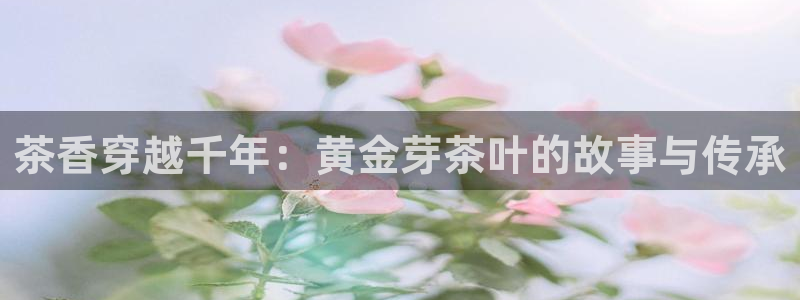 安信12真假