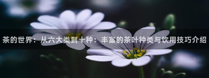 安信可wb12