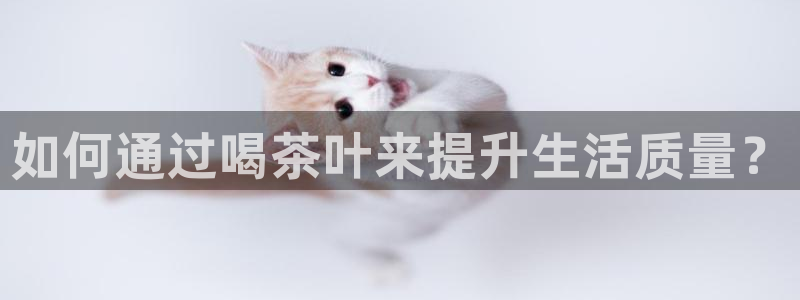 安信12官方网站查询