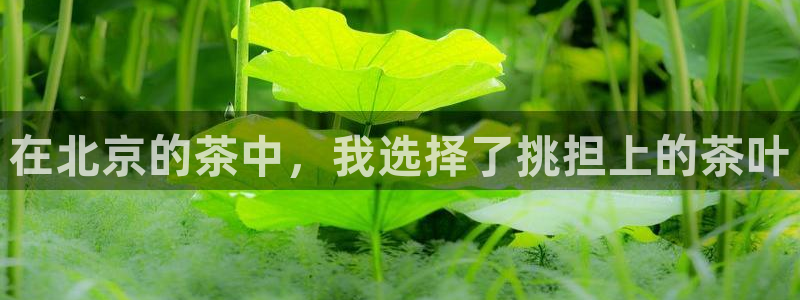 安信12彩票app下载