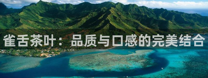安信12平台的网址