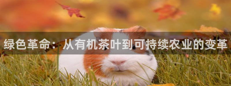 安立信12改装