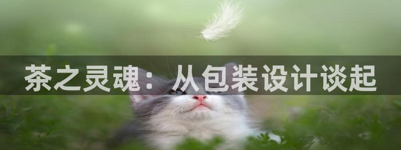 安信12开户