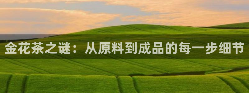 安信12平台官网