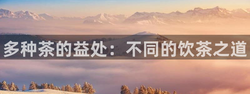安信12是什么