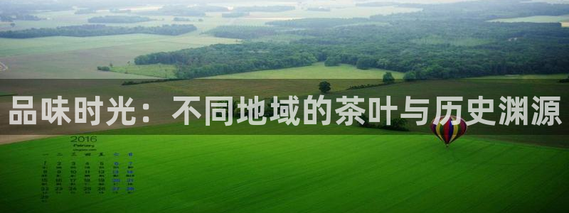 安立信T12测评