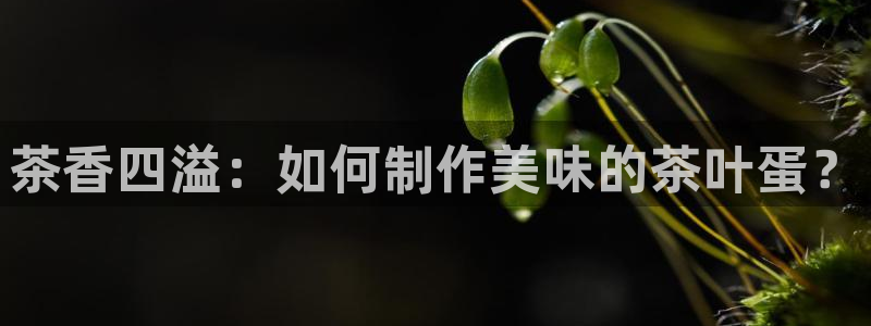 安信12月金股