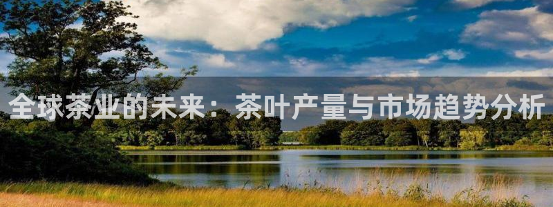 安信证券 12位