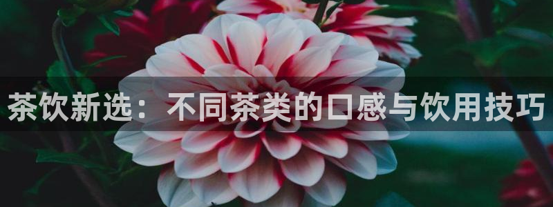 安信12娱乐