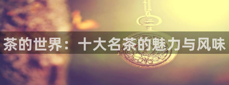 安信12级粉丝团福利
