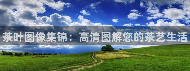 安信4娱乐去55 12