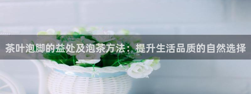 安信12负责人