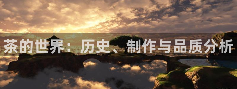 安信12账号