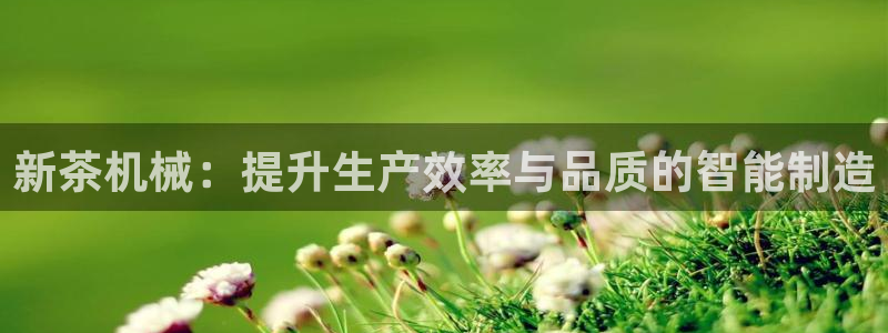 安信12官方网站查询