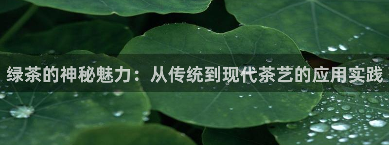 安信12官方网站查询