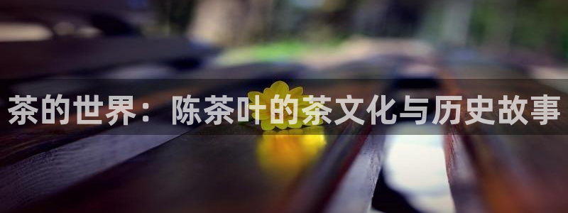 安信12娱乐7o777还