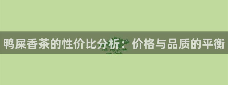 安信12负责人
