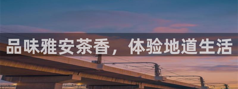 安信12周年庆