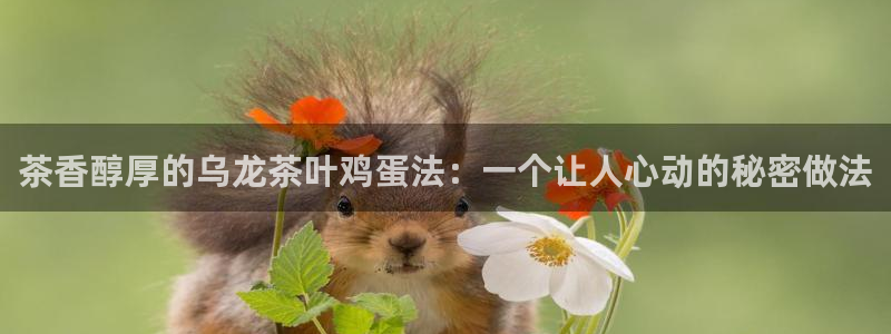 安立信T12测评