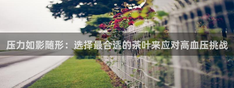 安信12级灯牌