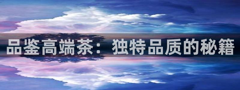安信12官网qq