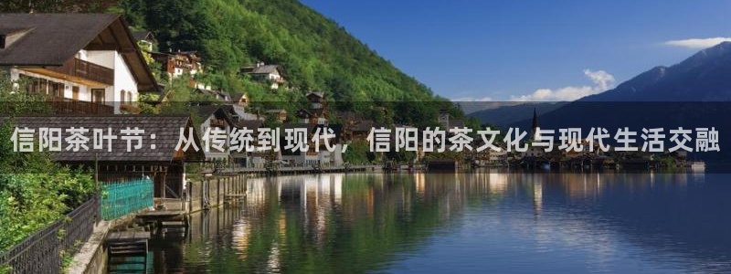 安信12平台