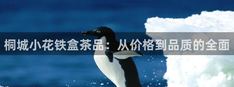 安信可12f12e