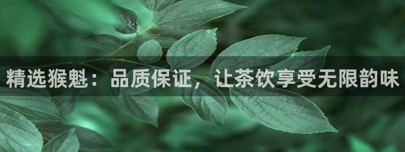 安信12登录