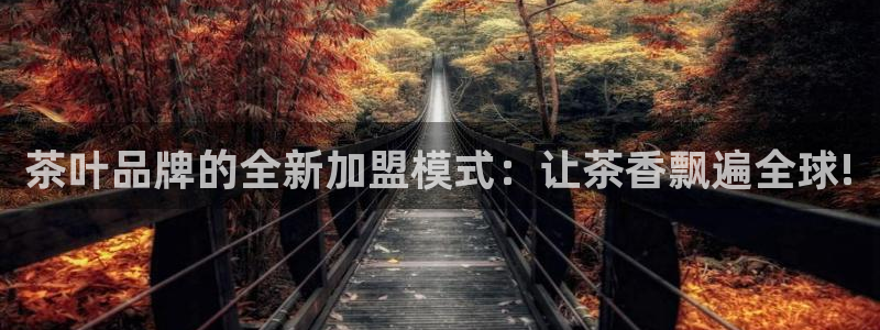 安信t12