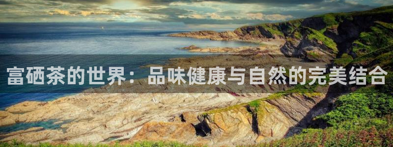 安信12平台怎么样