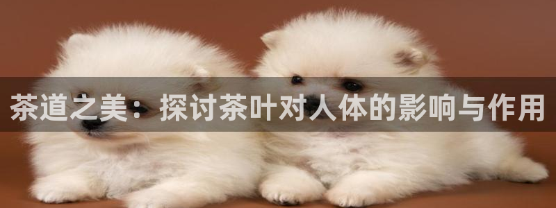 安信12平台最新消息