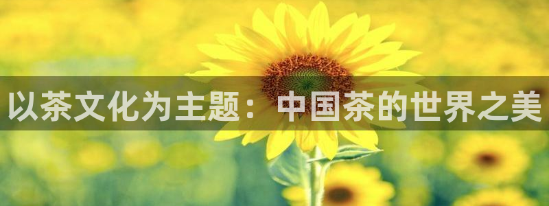 安信t12