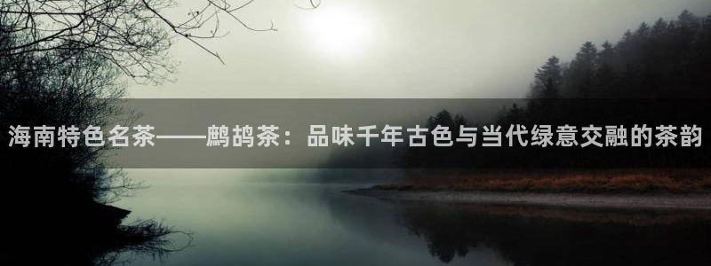 安信12平台下载