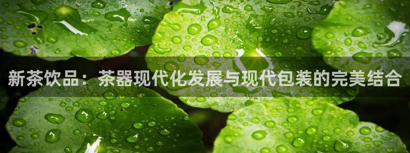 安信12级灯牌