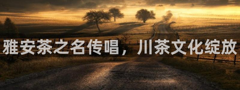 安信证券 12位