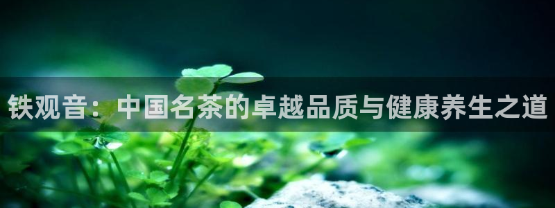 安信12平台下载
