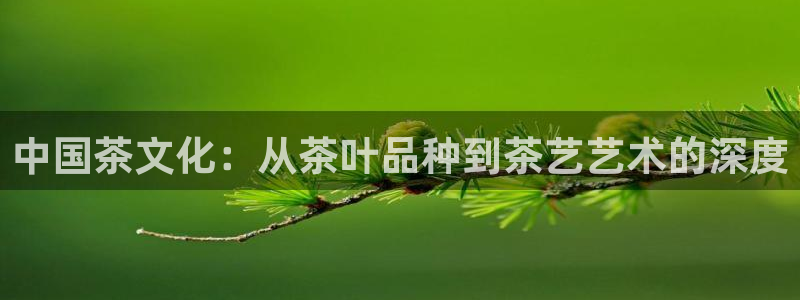 安信12平台官网
