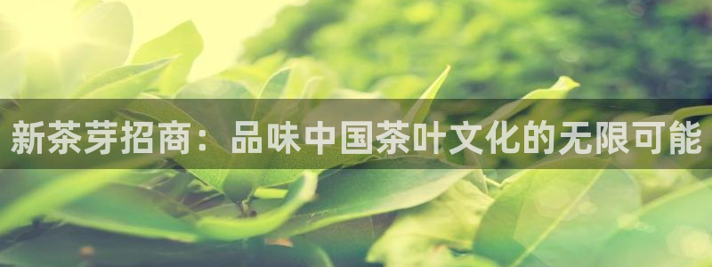 安信锐赢134号12月